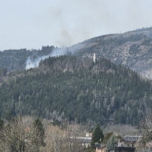 Waldbrand (14)